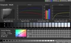 CalMAN Niveaux de gris