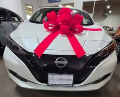 La Nissan Leaf. Une femme victime d'abus raciaux a reçu un véhicule électrique en cadeau et ne changera plus jamais d'huile (Source : Makayla Starks)
