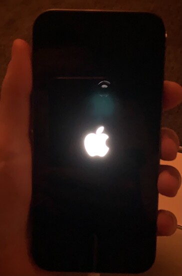 Quelques images supplémentaires liées au nouveau problème de "teinte verte de l'iPhone 12". (Source : Apple Support Communities, MacRumors)