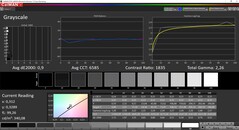 CalMAN Niveaux de gris calibrés