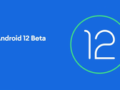 Android 12 Beta 4 est disponible sur plusieurs appareils dès maintenant. (Image source : Google)