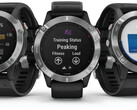 La série Fenix 6 devrait être sur le point de recevoir une autre mise à jour stable. (Image source : Garmin)