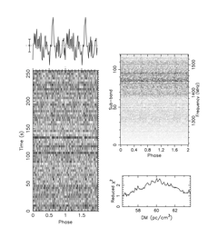 Peut-être un pulsar ? (source : Pulsar Seekers)