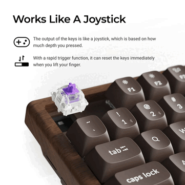 Keychron K8 HE édition spéciale tout en bois