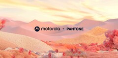 Un autre coloris du Motorola x Pantone Razr+ est disponible. (Source : Motorola) 