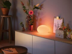 Lampe de table Philips Hue Flourish