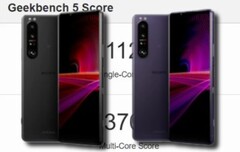 Le Sony Xperia 1 III a été lancé dans les couleurs noir givré et violet givré. (Image source : Sony/Geekbench/Reddit - édité)