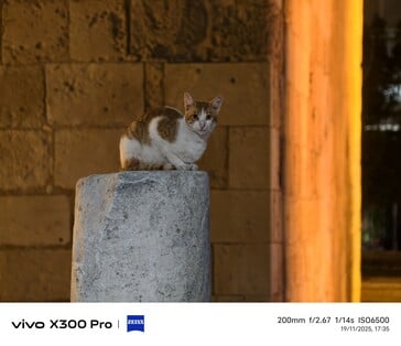 Vivo X300 Pro 200 mm avec téléconvertisseur.