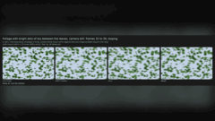Comparaison des rendus original, lossy et lossy2 d’AMD FSR 4.1.1 montrant du feuillage en mouvement.