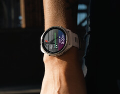 Il se peut qu&#039;il faille attendre un certain temps avant que Garmin ne livre une version stable 19.xx. (Source de l&#039;image : Garmin)