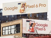 Les Pixel 6 et Pixel 6 Pro ont des caméras frontales différentes. (Image source : @davidurbanke)