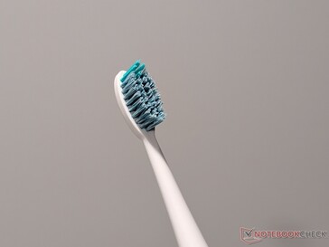 Gros plan de la tête de brosse standard fournie avec le kit de brosse à dents électrique.