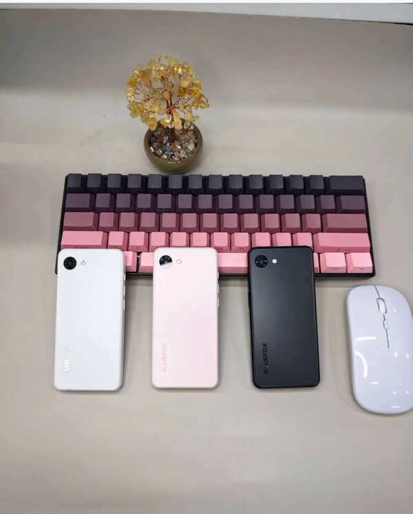 Le Bluefox Aura A1 est équipé d'un seul appareil photo arrière.