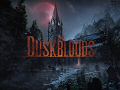 Affichage de la bannière pour le test réseau de The Duskbloods sur Switch 2