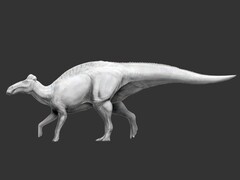 Edmontosaurus annectens est le premier dinosaure connu à avoir eu des pieds en forme de sabot (Source : Science.org)