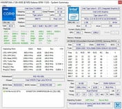 HWiNFO : Intel Graphics