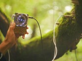 Pocket Scion crée de la musique à partir de l'activité électrique des plantes. (Source de l'image : Instruō)