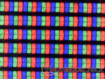 Les sous-pixels semblent nets, mais l'image est légèrement plus granuleuse que sur le LG Gram 14