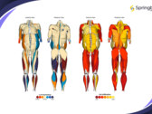 Springbok Analytics fournit une analyse musculaire en 3D alimentée par l'IA. (Source : Springbok Analytics)