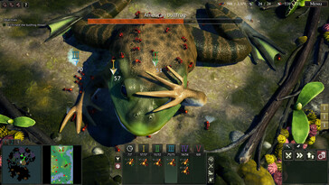Photo : une capture d'écran du jeu Empires of the Undergrowth.