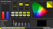 Zephyrus M GM501 - CalMAN : saturation.