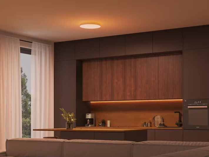 (Source : Philips Hue)