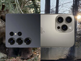 Comparaison des photos prises avec un smartphone : Dans le parc national de la forêt bavaroise avec deux des meilleurs appareils photo de 2025