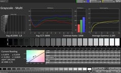 CalMAN Niveaux de gris