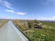 OnePlus 13 - Zoom 0,5x (ultra grand angle)