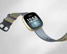 La Fitbit Versa 4 aura un aspect un peu différent de son prédécesseur, illustré sur la photo. (Image source : Fitbit)