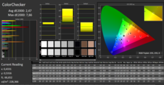 CalMAN : ColorChecker - Après calibrage.