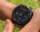 La version bêta 14.66 arrive peu après la dernière mise à jour stable de la smartwatch de Garmin. (Source de l'image : Garmin)