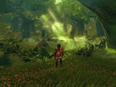 The Legend of Zelda : Breath of the Wild pourrait avoir un aspect beaucoup plus saisissant s'il tournait sur une console plus puissante. (Image source : Digital Dreams)