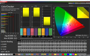 Samsung Galaxy S10+ - CalMAN : ColorChecker - Profil : Adaptatif (Standard) : espace colorimétrique cible : DCI-P3.