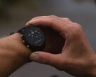 Garmin a publié la version 18.23 du logiciel pour la Forerunner 255. (Source de l'image : Garmin)