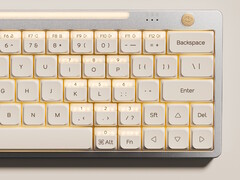 Clavier Nics Tek Hesper64(100) avec touches à double action : Détails supplémentaires révélés. (Source de l'image : Nics Tek)