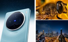 Le Vivo X100 Pro impressionne dans de nombreux exemples de photos. (Image : Vivo, édité)