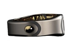 A quoi est censée ressembler la &quot;bague de Bond&quot;. (Source de l&#039;image : Bond Ring)