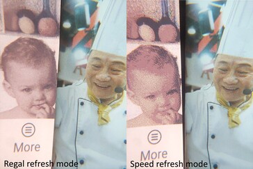 Modes Regal et Speed par rapport au magazine.