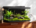Le Dangbei Smart Fish Tank 2S Ultra sera lancé en Chine le 26 avril 2026.