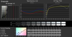 Surface Pro 6 - CalMAN : Échelle de gris.