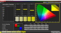 CalMAN Saturation calibrée (espace couleur cible DCI-P3)