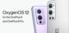 OnePlus relance le déploiement d'OxygenOS 12. (Source : OnePlus) 