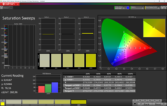 Saturation de CalMAN