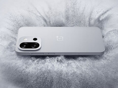 Le OnePlus 13T présente de nombreuses dégradations par rapport au OnePlus 13, plus grand (source : OnePlus)