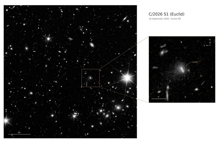 Une image prise par Euclid montrant la comète C/2026 S1 (Euclid).