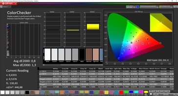 CalMAN ColorChecker (espace couleur cible DCI-P3)