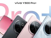 Le "Y300 Pro+". (Source de l'image : Sandwich Sister via Weibo)