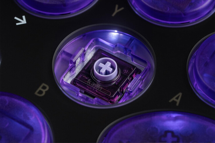 (Source de l'image : 8BitDo)