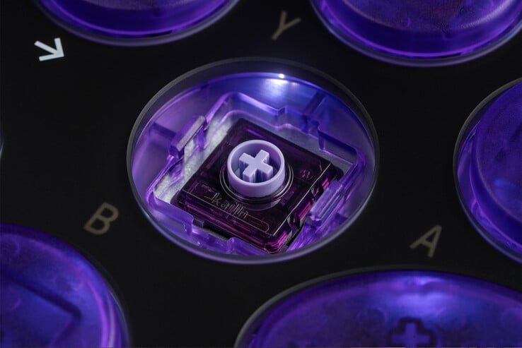 (Source de l'image : 8BitDo)